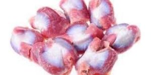 Frozen Chicken Gizzards