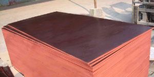 Shuttering Plywood