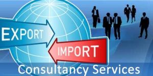 Export & Import Consultancy Services