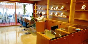 Jewelley Showroom Interior