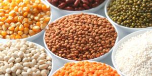 Indian Pulses