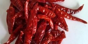 Dried Red Chilli Sannam S4 without Stem