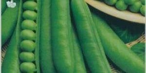 Peas