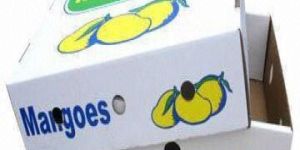 Corrugated Packaging Box