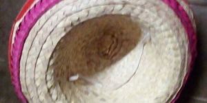 Handicraft  Palm Leaf Products