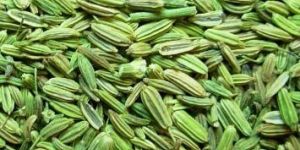 Fennel Seeds