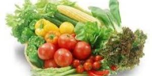 Fresh Vegetables