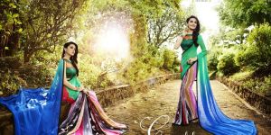 Multi Colour Georgette Sareehk03