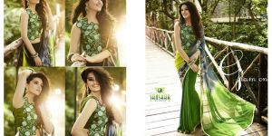 Multi Colour Georgette Sareehk14