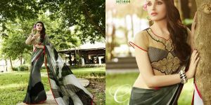 Multi Colour Georgette Sareehk17