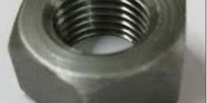 Mild Steel Hex Nuts