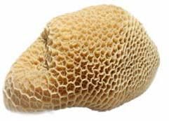 Frozen Buffalo Honeycomb