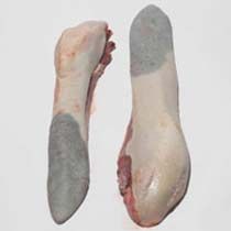 Frozen Buffalo Tongue