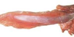 Frozen Veal Tenderloin