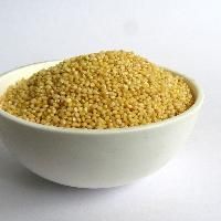 Foxtail Millet