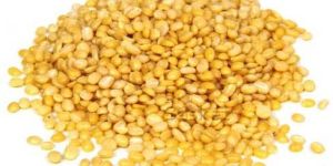 Yellow Moong Dal