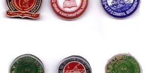 School Badges