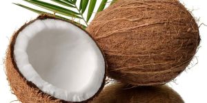 Fresh Coconut