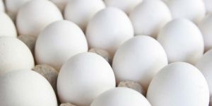White Eggs