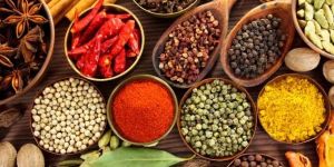 Indian Spices