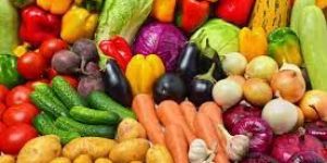 Fresh Vegetables