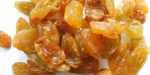 Golden Raisins
