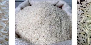 Basmati Rice