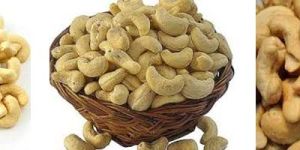 Cashew Nut