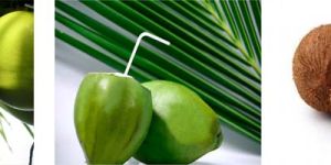 Coconut Products