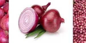 Fresh Onions