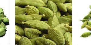 Green Cardamom