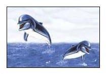 Bathroom Series Ceramic Digital Wall Tiles (12x18 (30x45cm))