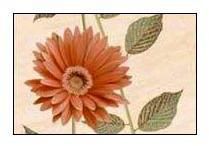 Marble Series Ceramic Digital Wall Tiles (12x18 (30x45cm))