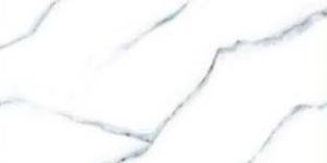 Satavariya Series Digital Wall Tiles