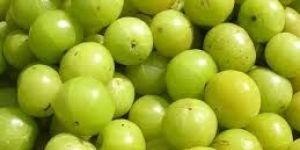 Fresh Amla