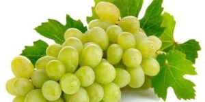 Fresh Green Grapes