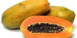 Fresh Papaya