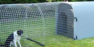 Dog Kennels