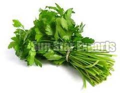 Coriander Leaves