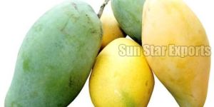 Fresh Mango