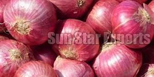 Onions