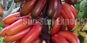 Red Banana