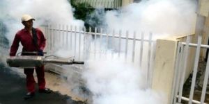 Mosquito Control Services