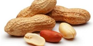 Groundnuts