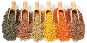 Indian Pulses