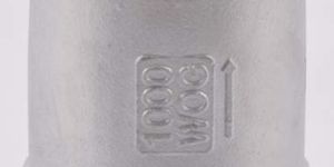 Stainless Steel Non Return Valves