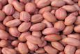 Groundnuts