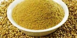 Coriander
