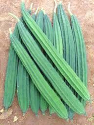 Fresh Ridge Gourd