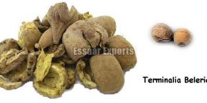 Terminalia Belerica